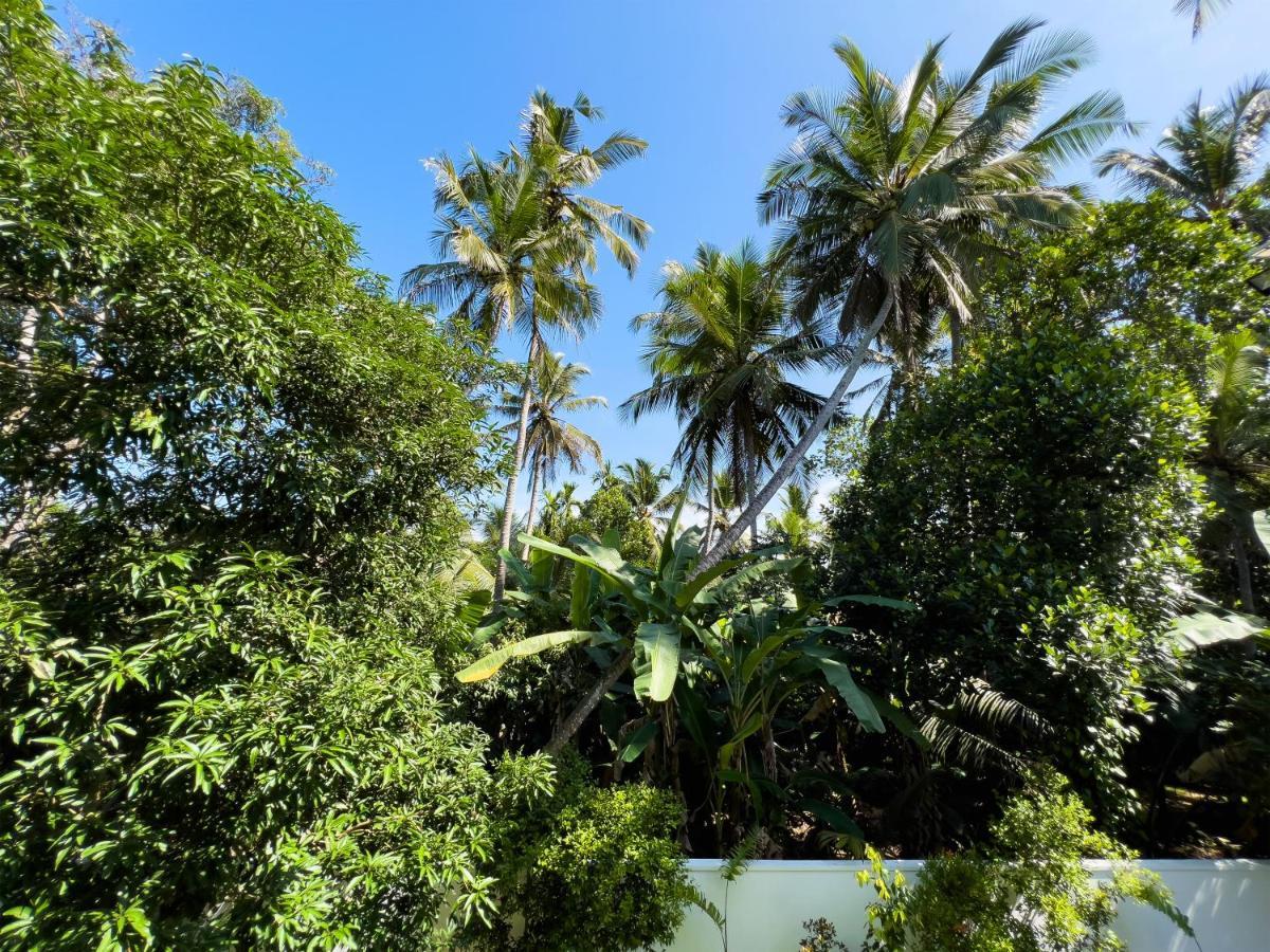 Villa Ema Galle Ngoại thất bức ảnh