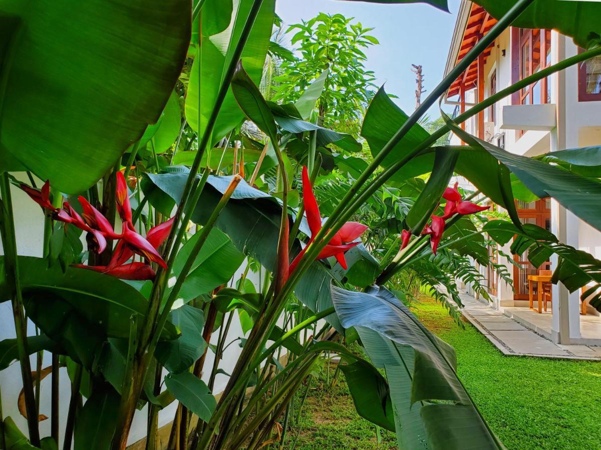 Villa Ema Galle Ngoại thất bức ảnh